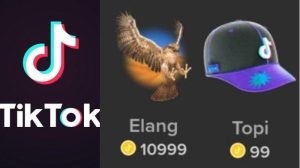 Berapa Rupiah Harga Gift Burung Elang Di Live TikTok? Penghasilan Tiktok dari Gift